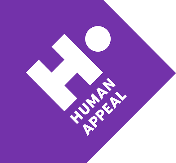 Human Appeal Case Study Valto Case Study 