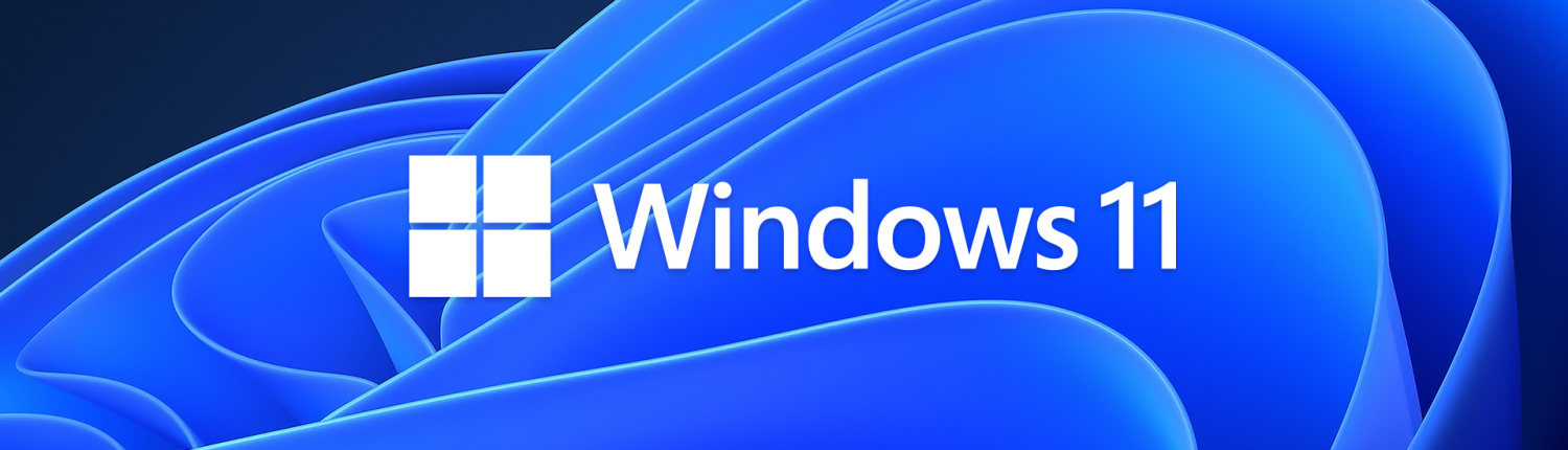 windows 11 logo and branding