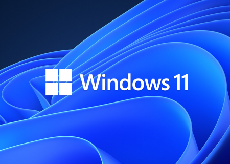 windows 11 logo and branding
