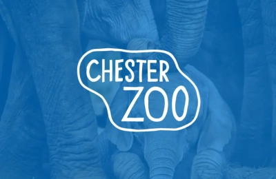 Chester Zoo Case Study Valto Case Study