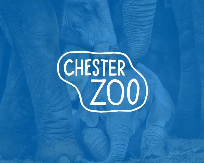 Chester Zoo streamlines operations with SharePoint and…